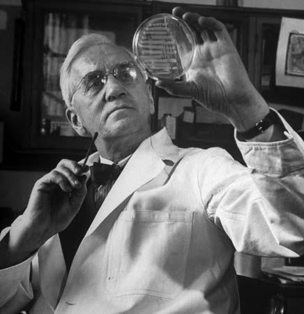 The 'Scope: 90 Years Ago, A Contaminated Petri Dish Changed The World