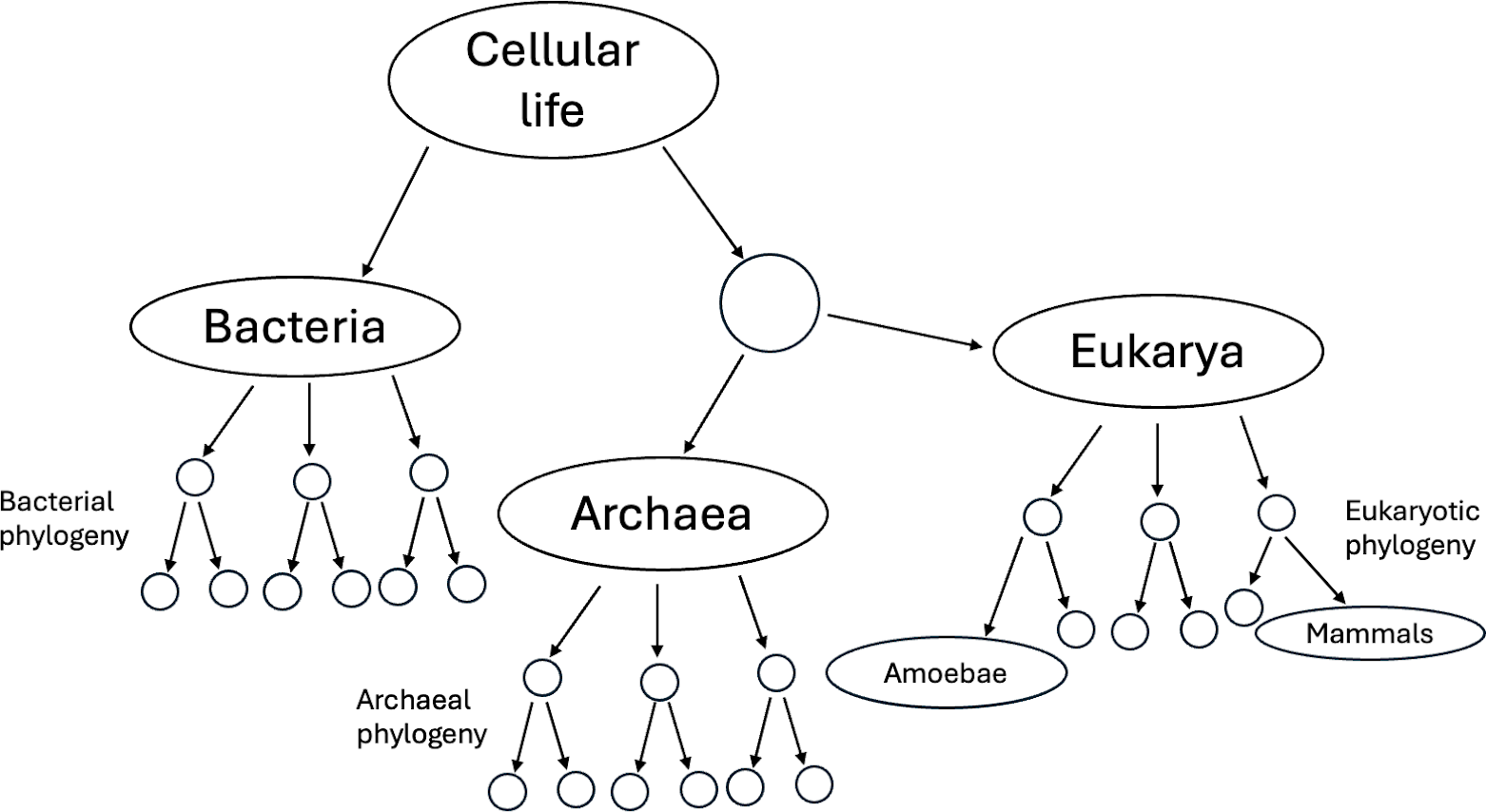 A diagram of a structure
Description automatically generated