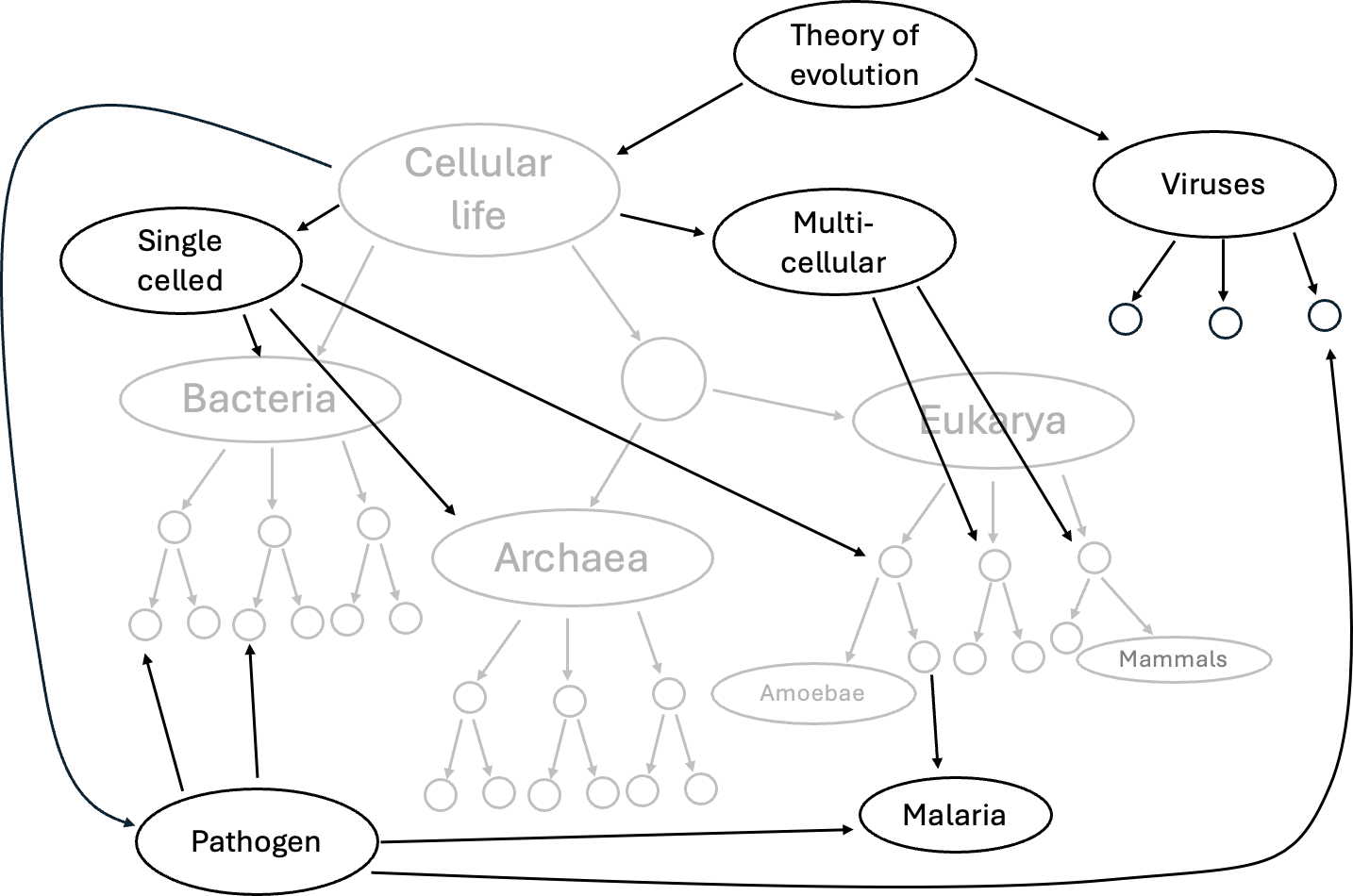 A diagram of a cell life
Description automatically generated