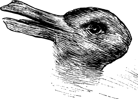 Duck or rabbit? 100-year-old optical illusion could tell you how creative  you are | The Independent