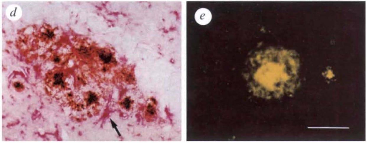 A close-up of a microscope
AI-generated content may be incorrect.