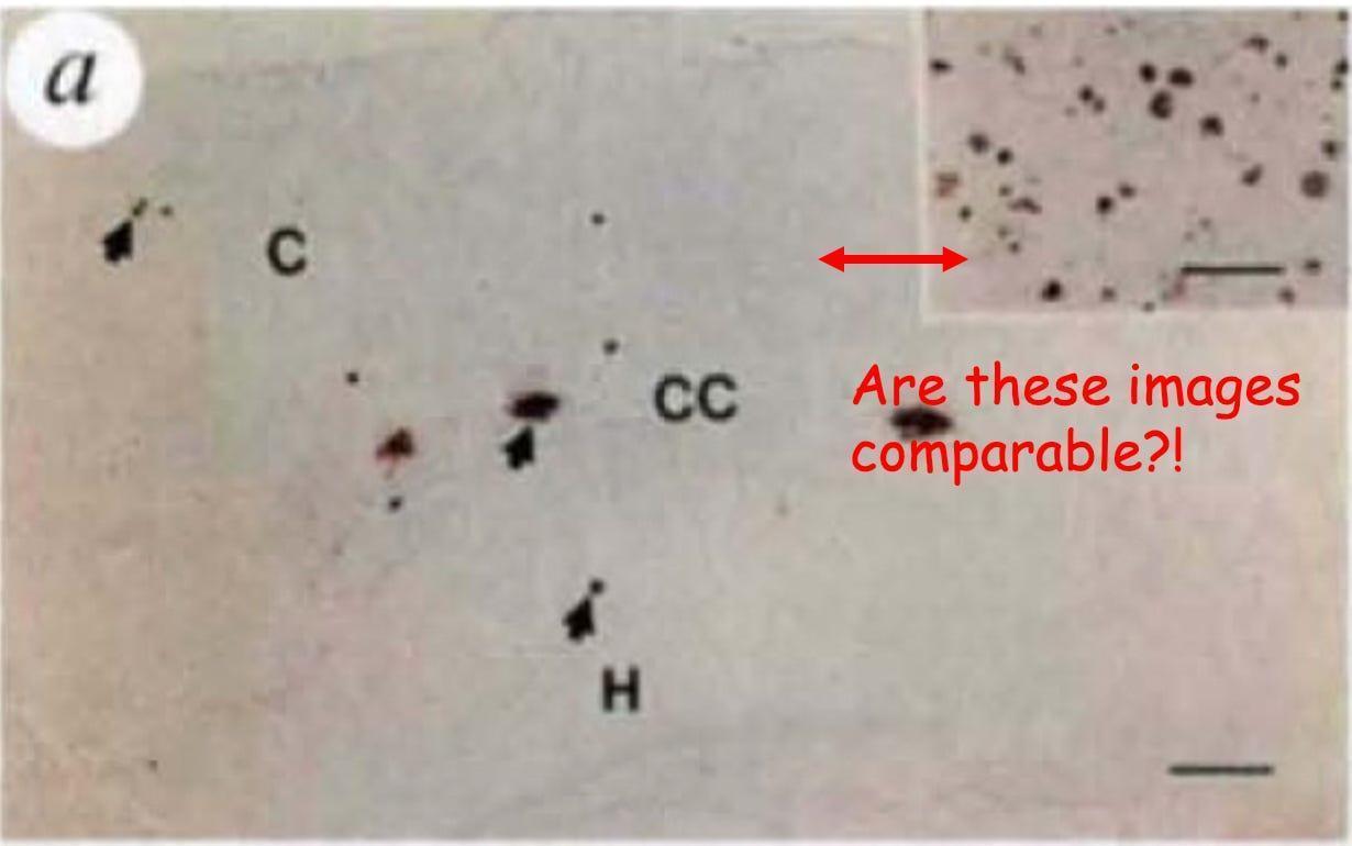 A close-up of a microscope
AI-generated content may be incorrect.