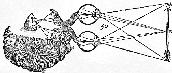 Retinal and Pineal Images in Descartes Treatise of Man